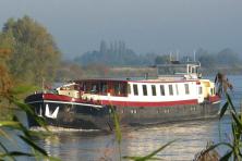 Tulip Tour by boat & bike - MS Lena Maria